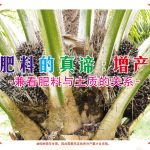 肥料的真谛 :增产 (兼看肥料与土质的关系)