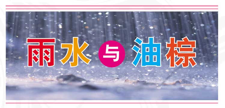 You are currently viewing 雨水与油棕
