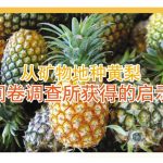 从矿物地种黄梨,问卷调查所获得的启示