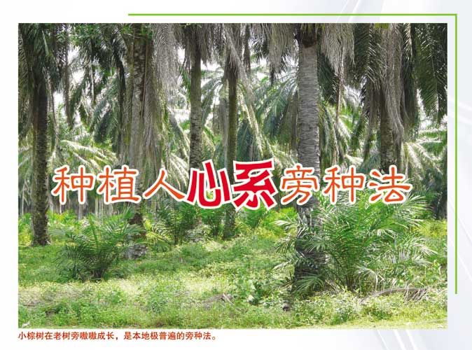 Read more about the article 种植人心系旁种法