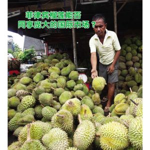 菲律宾榴莲能否同享庞大的国际市场 ？