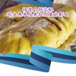 榴莲品种交配 对坐果率及果粒质量的影响