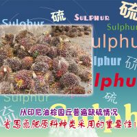 从印尼油棕园丘普遍缺硫情况，省思氮肥原料种类采用的重要性！