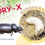 ORY-X能控制各阶段犀角甲虫的生物药