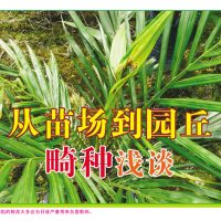 从苗场到园丘畸种浅谈