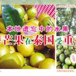 本地遗忘中的水果,梅芒果在泰国受重视