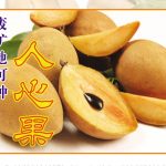 矿地可种人心果