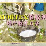 MORTEX 催胶剂增产胶汁方案