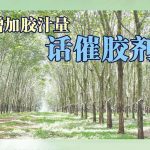 增加胶汁量，话催胶剂