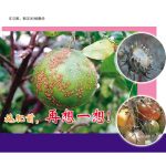 施肥前,再想一想!