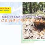 再谈油棕灵芝病,新资料、新视野 :国内油棕茎基腐病情须严正看待及改善以免病情扩散重击棕油业