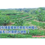 采用豆科铺盖植物究竟能为种植人节省多少的氮肥开销呢?