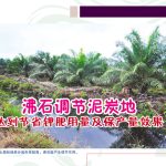 沸石调节泥炭地达到节省钾肥用量及保产量效果