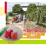 气候干燥无比,金山脚下火龙果园,取山水灌溉