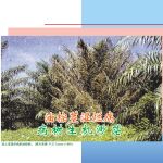 油棕茎湿烂病,病树生机渺茫