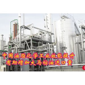 中国油脂化学工业效能提升有助增加大马棕油进口量