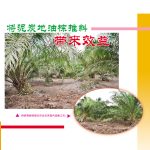 将泥炭地油棕推斜带来效益