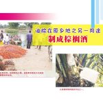 油棕在原乡地之另一用途,制成棕榈酒