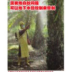 泥炭地白蚁问题可以地下水位控制来管制