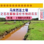 马来西亚土壤之石灰解酸及农作物的反应,第1篇:土壤酸化的原因