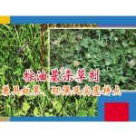 棕油基杀草剂兼具效果、环保及实惠特点