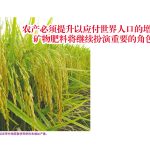 农产必须提升以应付世界人口的增长,矿物肥料将继续扮演重要的角色