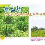 建立起良好豆科植物铺盖率的方法