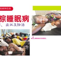 海外油棕病例信息：油棕睡眠病起因、症状及防治