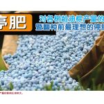 停肥对各树龄油棕产量的影响暨翻种前最理想的停肥时机