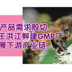 蜂产品需求殷切,养蜂大王洪江鲆建GMP厂扩展下游产业链