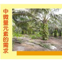 泥炭地油棕对中微量元素的需求