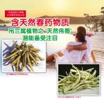 天然植物与保健大开眼界系列之四:含天然春药物质,吊兰属植物之’天然伟哥’潜能备受注目