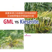 镁素来源之地面镁石灰和硫镁肥,油棕种植经济效益的比较: GML vs Kieserite