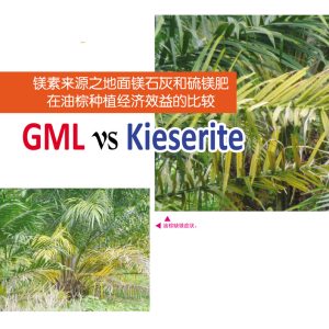 镁素来源之地面镁石灰和硫镁肥,油棕种植经济效益的比较: GML vs Kieserite