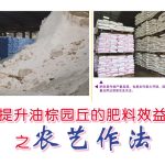 提升油棕园丘的肥料效益之农艺作法