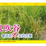 风吹谷,春风吹不生的方案