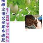 椰糠尘搭配空果串堆肥,生产出质量更佳的网纹瓜。