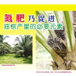 氮肥乃促进油棕产量的必要元素