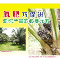 氮肥乃促进油棕产量的必要元素