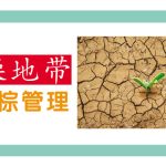 干燥地带的油棕管理