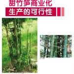 甜竹笋商业化生产的可行性