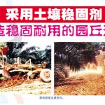 采用土壤稳固剂建造稳固耐用的园丘道路