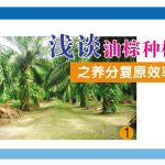 浅谈油棕种植之养分复原效率