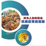 天然植物与保健大开眼界系列 :鲜为人知的棕油抗癌症等病效能