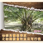 油棕高种植密度之初期音量效益及可行性