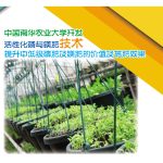 中国南华农业大学开发活性化磷与镁肥技术提升中低级磷肥及镁肥的价值及施肥效果