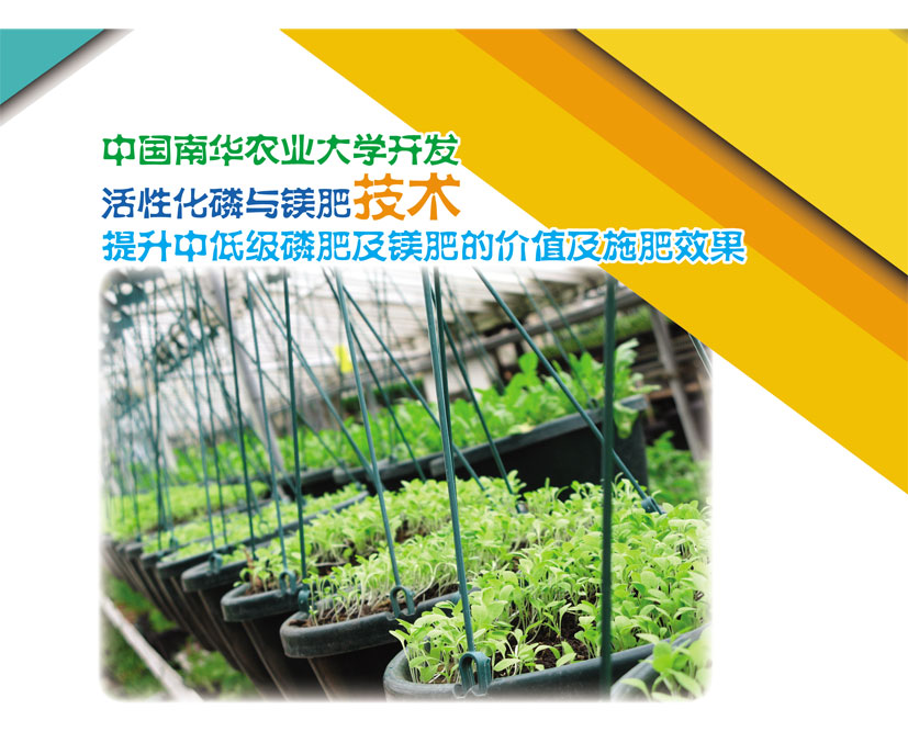 Read more about the article 中国南华农业大学开发活性化磷与镁肥技术提升中低级磷肥及镁肥的价值及施肥效果