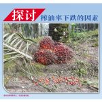 探讨榨油率下跌的因素