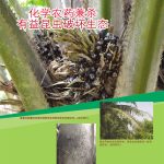 化学农药兼杀有益昆虫破坏生态