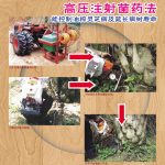 高压注射菌药法能控制油棕灵芝病及延长病树寿命